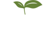 Voka